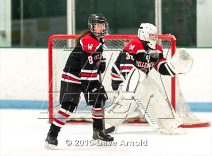 Thumbnail 1 in Wellesley @ Needham photogallery.