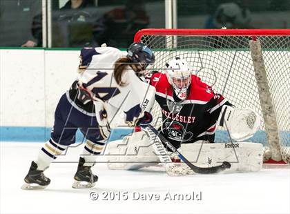 Thumbnail 3 in Wellesley @ Needham photogallery.