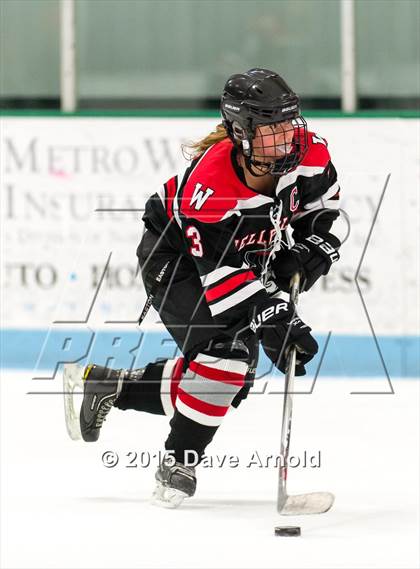 Thumbnail 1 in Wellesley @ Needham photogallery.
