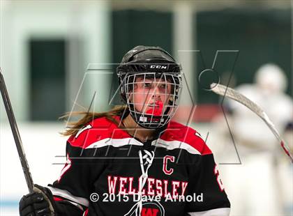 Thumbnail 3 in Wellesley @ Needham photogallery.