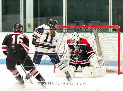 Thumbnail 2 in Wellesley @ Needham photogallery.