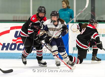Thumbnail 1 in Wellesley @ Needham photogallery.