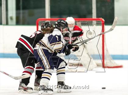 Thumbnail 3 in Wellesley @ Needham photogallery.
