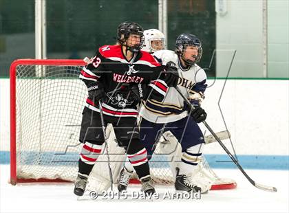 Thumbnail 1 in Wellesley @ Needham photogallery.
