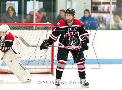Thumbnail 1 in Wellesley @ Needham photogallery.