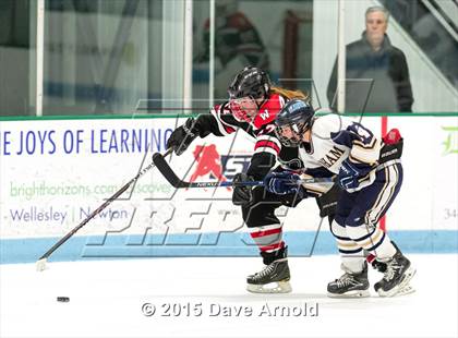 Thumbnail 2 in Wellesley @ Needham photogallery.