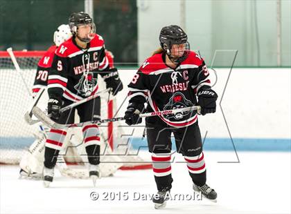 Thumbnail 2 in Wellesley @ Needham photogallery.