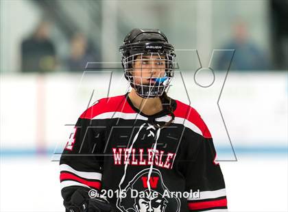 Thumbnail 3 in Wellesley @ Needham photogallery.
