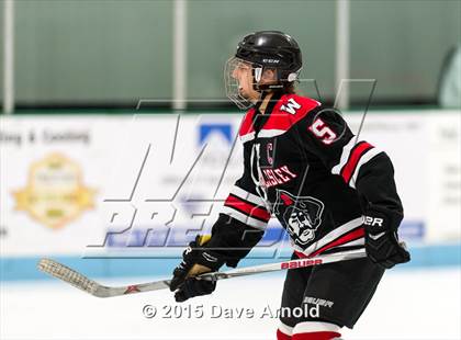 Thumbnail 2 in Wellesley @ Needham photogallery.