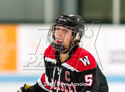 Thumbnail 3 in Wellesley @ Needham photogallery.