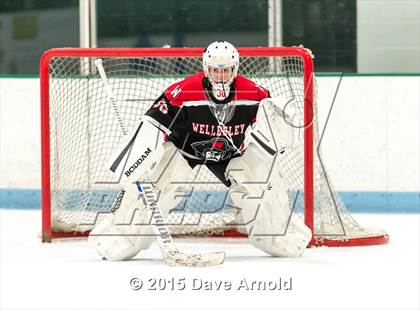 Thumbnail 2 in Wellesley @ Needham photogallery.