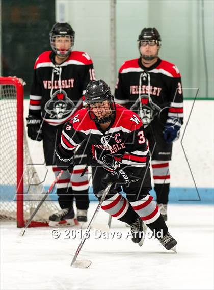 Thumbnail 3 in Wellesley @ Needham photogallery.