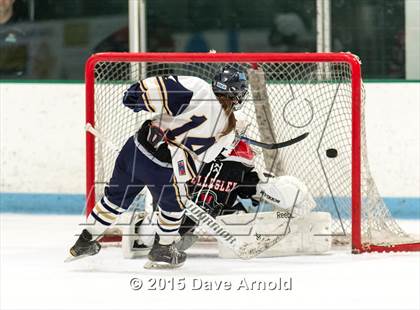 Thumbnail 2 in Wellesley @ Needham photogallery.