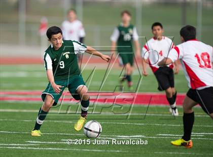 Thumbnail 1 in Damien vs. Pomona photogallery.