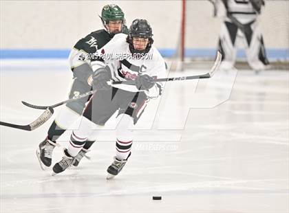 Thumbnail 2 in Mountain Vista @ Chatfield photogallery.