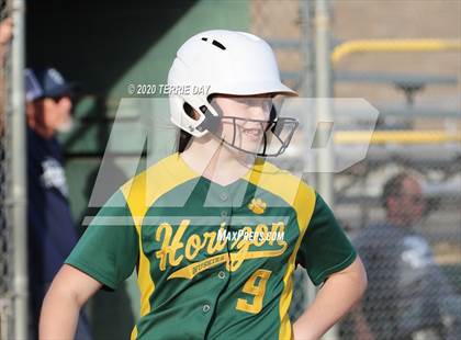 Thumbnail 1 in Horizon vs Cactus Shadows photogallery.