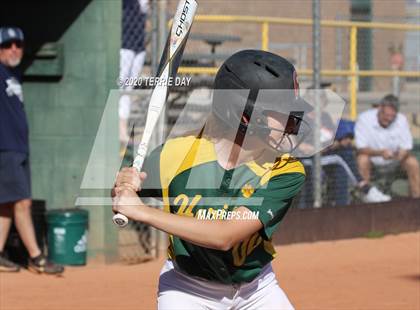 Thumbnail 2 in Horizon vs Cactus Shadows photogallery.