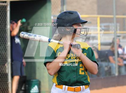 Thumbnail 1 in Horizon vs Cactus Shadows photogallery.