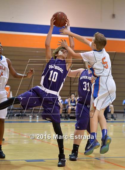 Thumbnail 3 in River Ridge @ Osceola photogallery.
