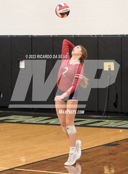 Thumbnail 1 in Paetow vs Tompkins photogallery.