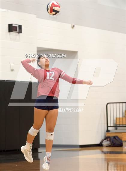 Thumbnail 2 in Paetow vs Tompkins photogallery.