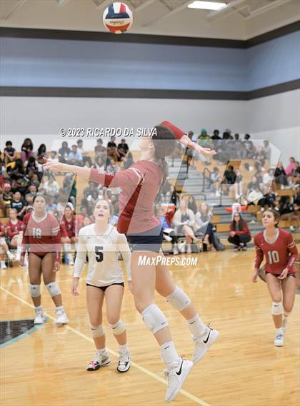 Thumbnail 1 in Paetow vs Tompkins photogallery.