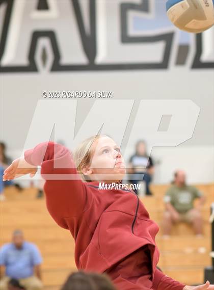 Thumbnail 3 in Paetow vs Tompkins photogallery.