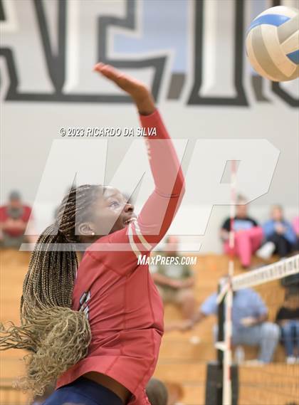 Thumbnail 1 in Paetow vs Tompkins photogallery.