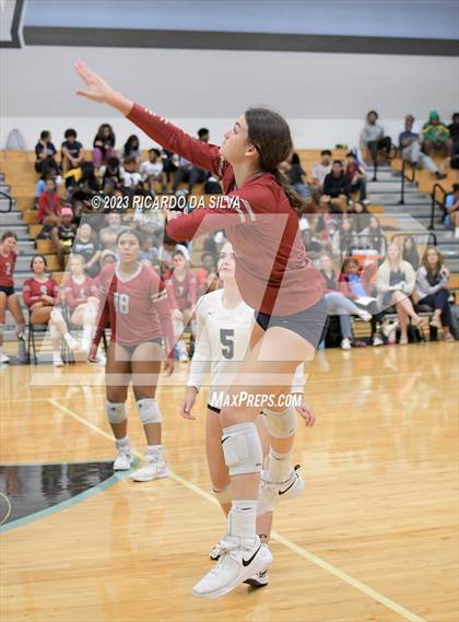 Thumbnail 2 in Paetow vs Tompkins photogallery.