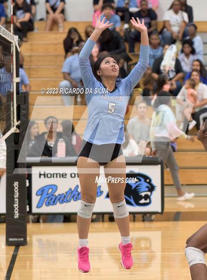 Thumbnail 3 in Paetow vs Tompkins photogallery.