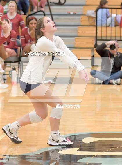 Thumbnail 2 in Paetow vs Tompkins photogallery.