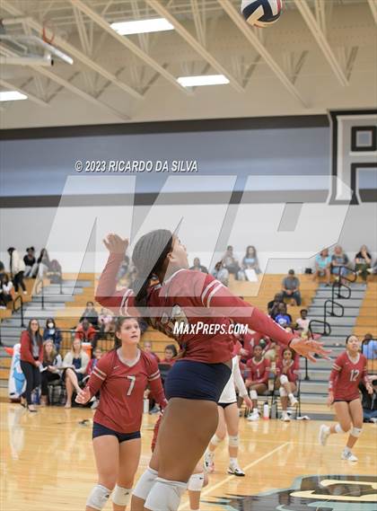 Thumbnail 1 in Paetow vs Tompkins photogallery.