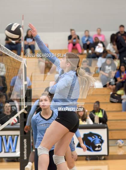 Thumbnail 1 in Paetow vs Tompkins photogallery.