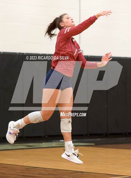 Thumbnail 1 in Paetow vs Tompkins photogallery.