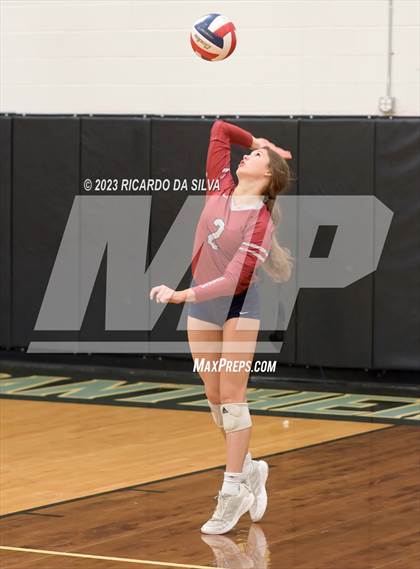 Thumbnail 1 in Paetow vs Tompkins photogallery.