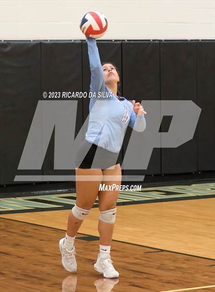 Thumbnail 3 in Paetow vs Tompkins photogallery.
