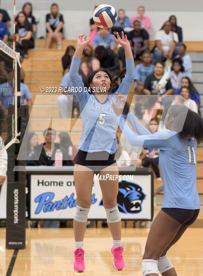 Thumbnail 1 in Paetow vs Tompkins photogallery.