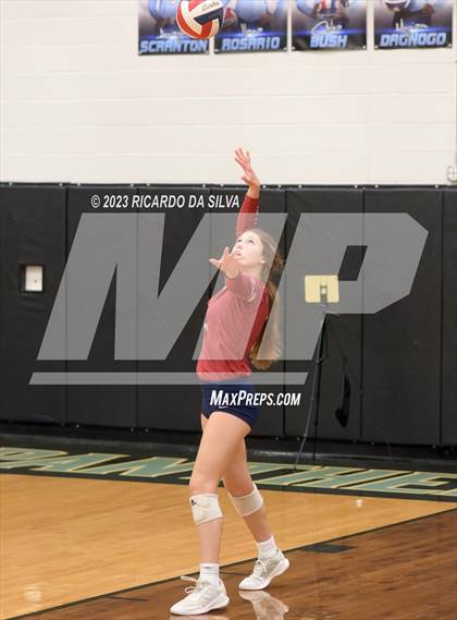 Thumbnail 2 in Paetow vs Tompkins photogallery.