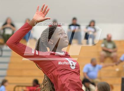Thumbnail 3 in Paetow vs Tompkins photogallery.