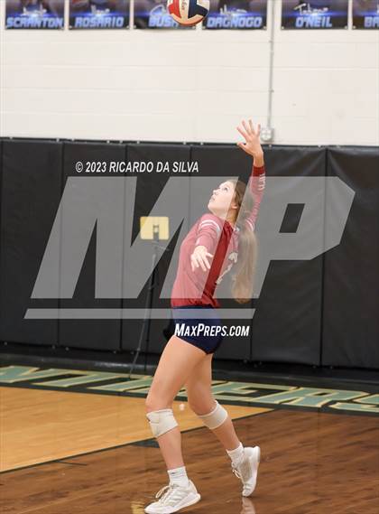 Thumbnail 2 in Paetow vs Tompkins photogallery.