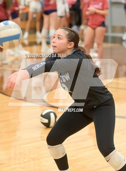 Thumbnail 2 in Paetow vs Tompkins photogallery.