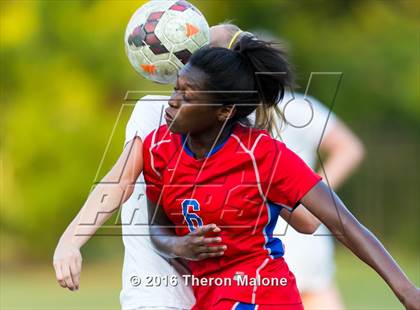 Thumbnail 2 in Bartlett vs Hutchison photogallery.