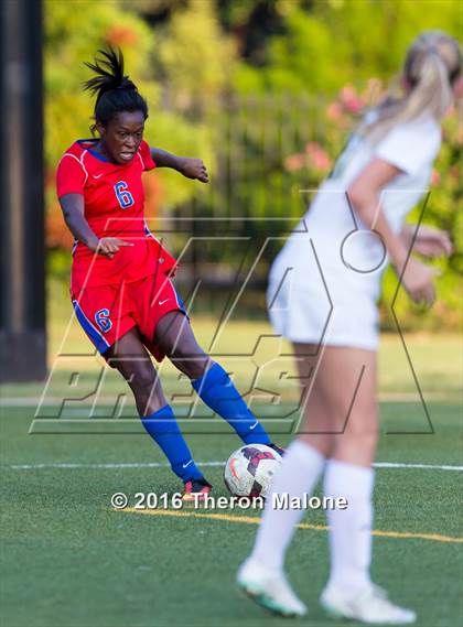 Thumbnail 2 in Bartlett vs Hutchison photogallery.