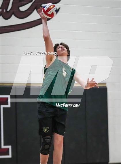 Thumbnail 2 in Basha @ Hamilton photogallery.