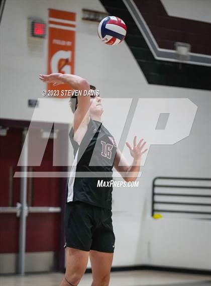Thumbnail 3 in Basha @ Hamilton photogallery.