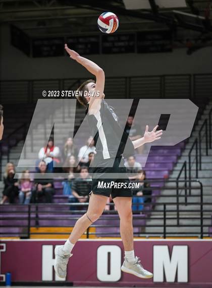 Thumbnail 2 in Basha @ Hamilton photogallery.
