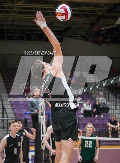 Thumbnail 1 in Basha @ Hamilton photogallery.
