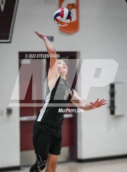Thumbnail 3 in Basha @ Hamilton photogallery.