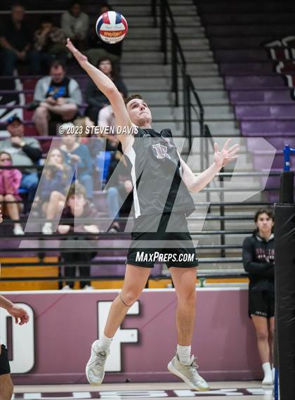 Thumbnail 2 in Basha @ Hamilton photogallery.