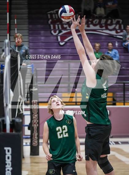 Thumbnail 2 in Basha @ Hamilton photogallery.